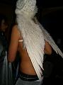 wellness night shows_0000020